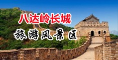 中出老师h视频在线观看中国北京-八达岭长城旅游风景区